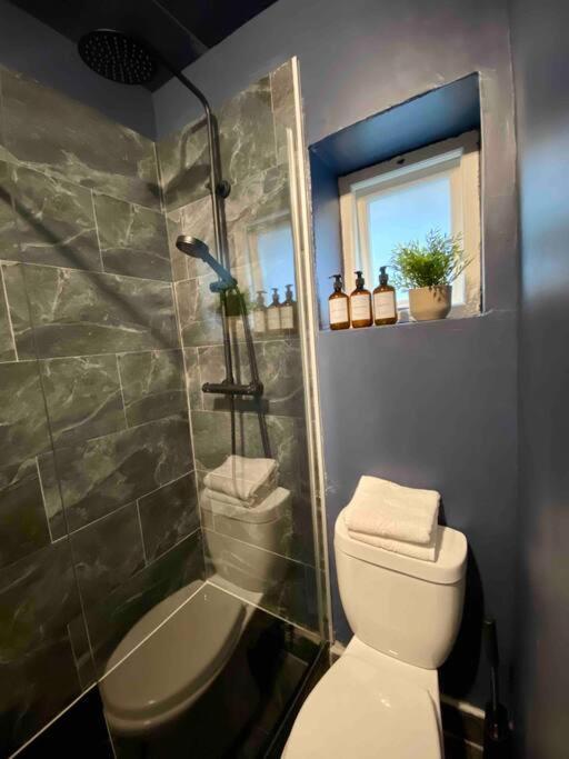 לונדון Stylish Studio For 3 Near Regents Park N4 מראה חיצוני תמונה